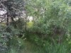 Image 18 - Outside