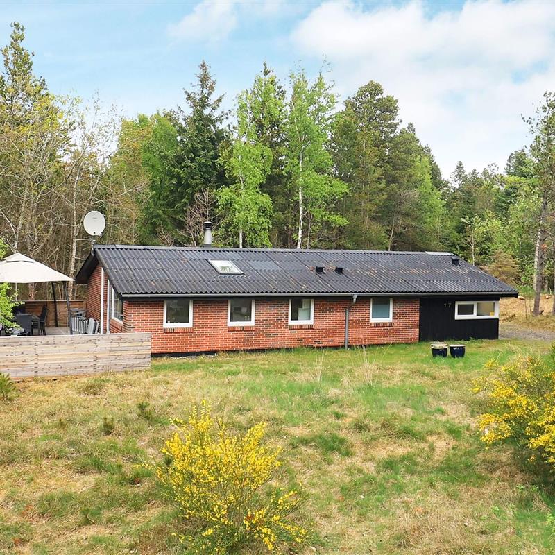 Ferienhaus - 8 Personen -  - Musvågevej - Lodskovvad - 9982 - Aalbæk