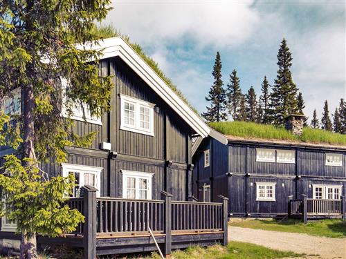 Holiday Home/Apartment - 10 persons -  - Kleivholoa - Kvitfjell - 2634 - Fåvang