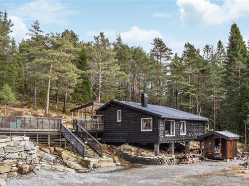 Sommerhus - 8 personer -  - Liervegen - Liervatnet/Sveio - 5555 - Førde I Hordaland