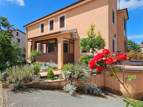 Holiday apartment - 2 persons -  - Buzinija - 52466