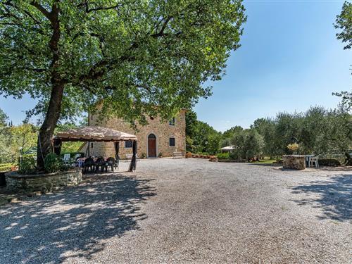 Ferienhaus - 11 Personen -  - Strada Vicinale Barbaiano - 52048 - Monte San Savino