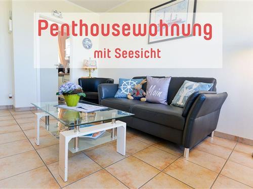 Ferienwohnung - 2 Personen -  - Wernerwaldstraße - 27476 - Cuxhaven