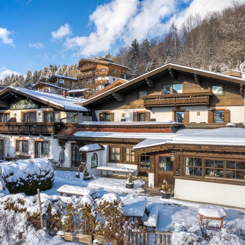 Sommerhus - 45 personer -  - Weinberg - 6365 - Kirchberg In Tirol