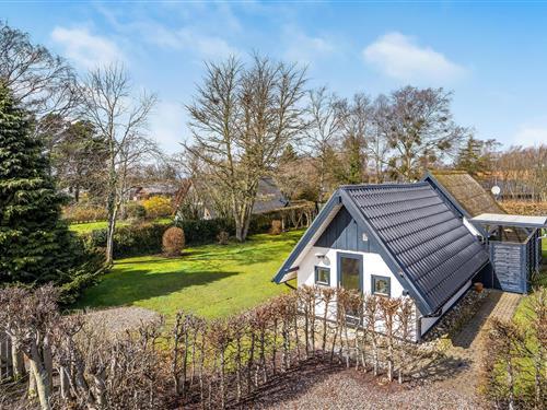 Sommerhus - 6 personer -  - Birkemose - Skovmose - 6470 - Als