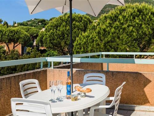 Sommerhus - 5 personer -  - 83240 - Cavalaire Sur Mer