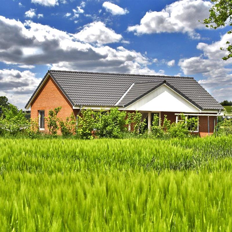 Sommerhus - 4 personer -  - Scharrerie - 24891 - Struxdorf