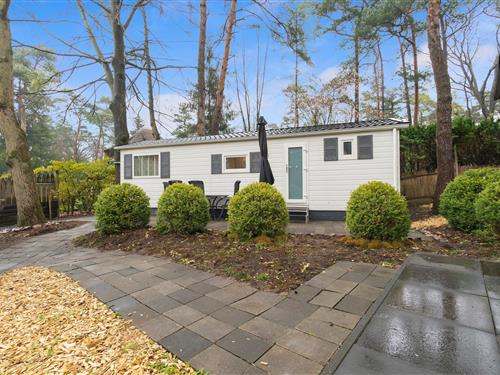 Chalet - 4 personer -  - 8166JJ - Emst