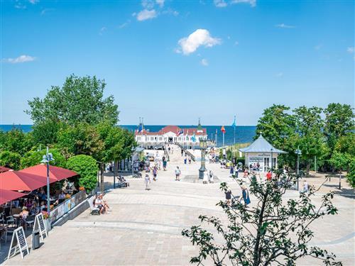 Holiday apartment - 2 persons -  - Dünenstraße - 17419 - Ahlbeck (Seebad)