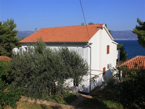 Ferieleilighet - 4 personer -  - Bana Jelacica - 21224 - Slatine