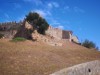 Billede 11
