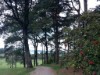 Bild 29