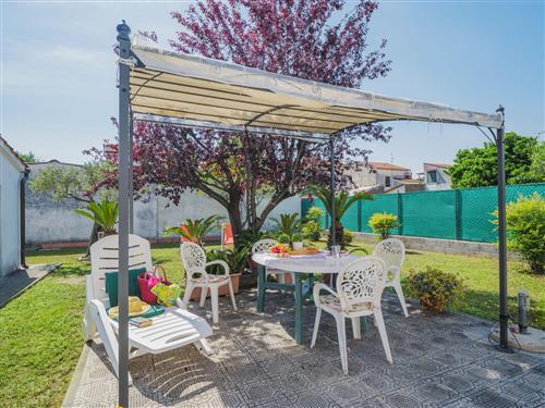 Holiday Home/Apartment - 7 persons -  - Torre Del Lago Puccini - 55049