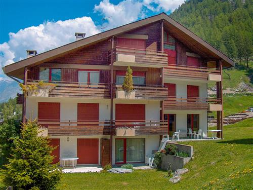 Holiday Home/Apartment - 4 persons -  - Zermatt - 3920