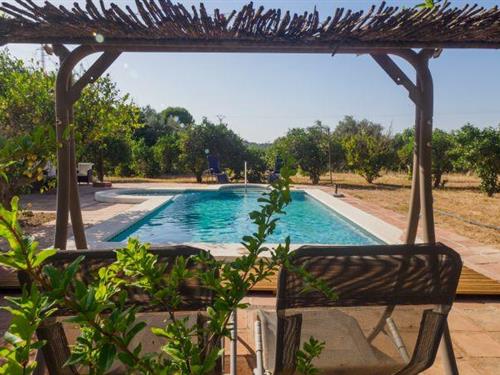 Holiday home - 4 persons -  - 29570 - Cártama