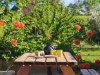 Bilde 16 - Terrasse