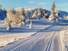 Bild 14 - Aktivität