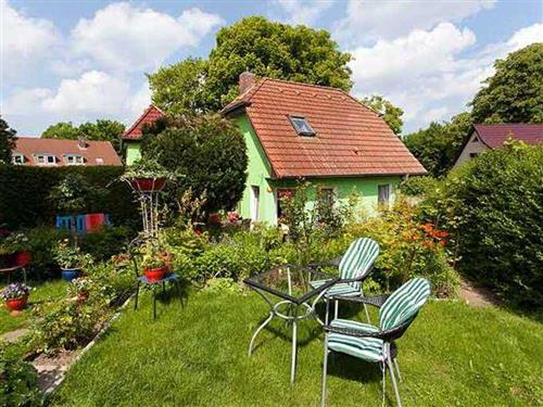 Holiday Home/Apartment - 8 persons -  - Am Burgwall - 18528 - Bergen Auf Rügen