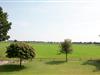 Bild 31
