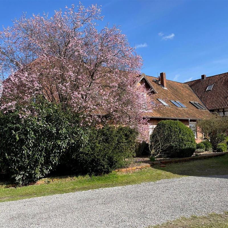 Ferielejlighed - 5 personer -  - Allerweg - 29690 - Marklendorf