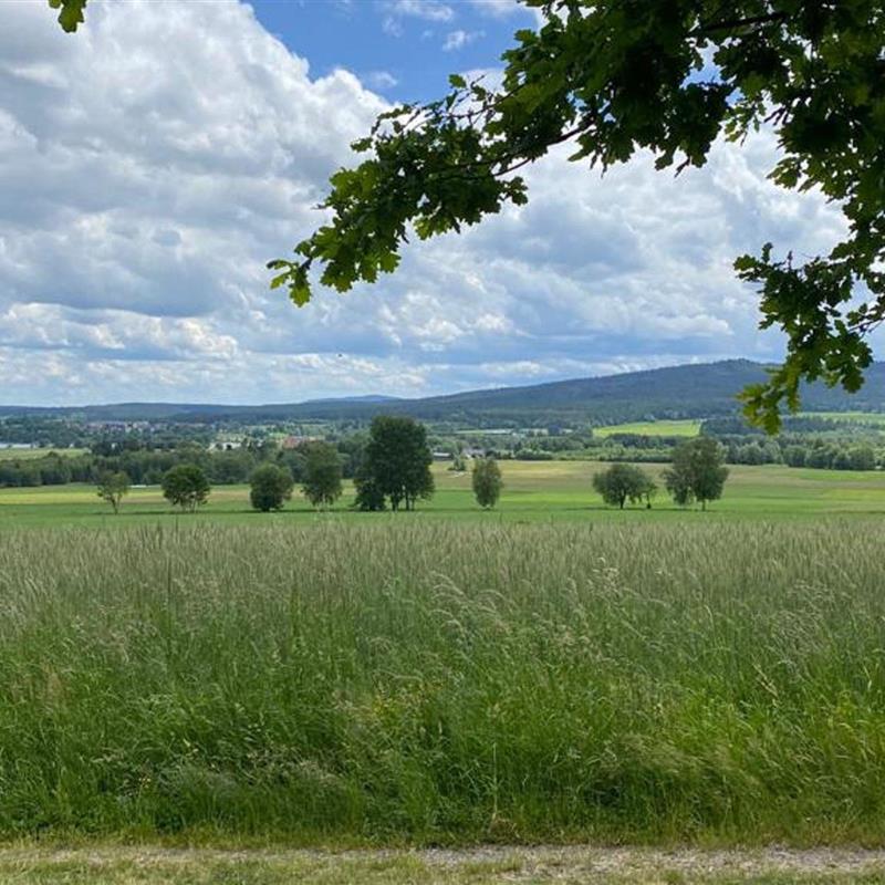 Ferielejlighed - 8 personer -  - Dörnthal - 95152 - Selbitz