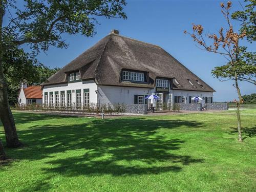 Holiday Home/Apartment - 6 persons -  - 1795AA - De Cocksdorp Texel