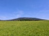 Bild 37 - Ude