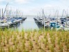 Bild 26 - Blick über's Wasser
