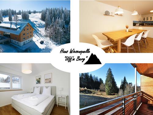 Semesterhus/Semesterlägenhet - 6 personer -  - An der Wiesenquelle - 79868 - Feldberg (Schwarzwald)