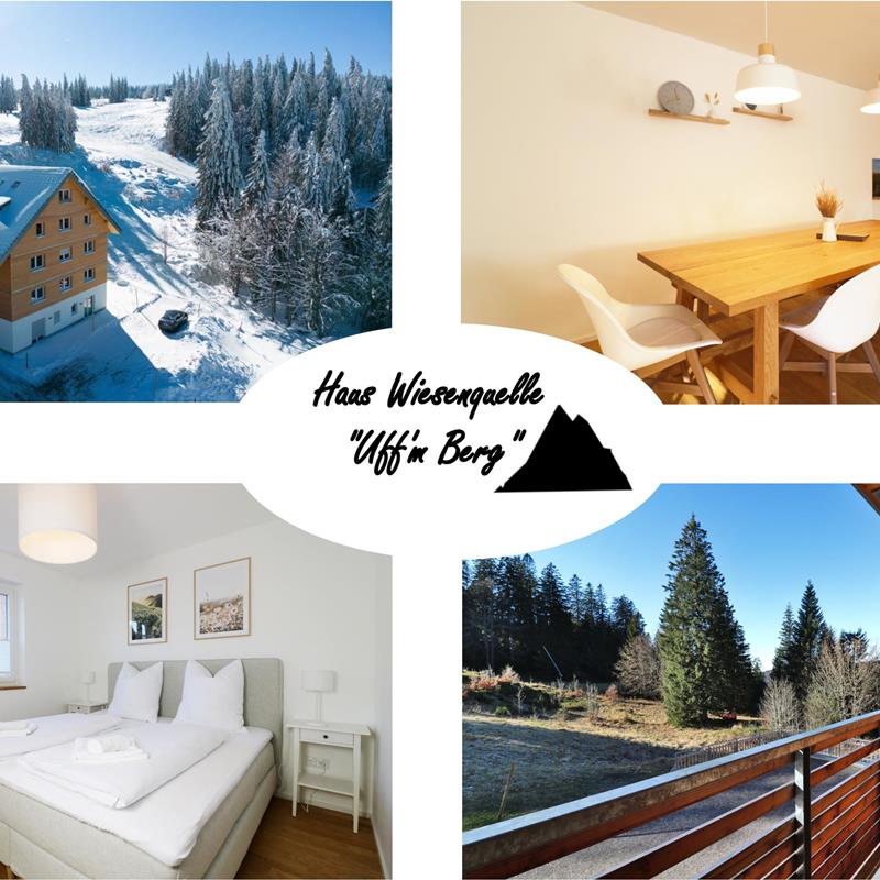 Ferielejlighed - 6 personer -  - An der Wiesenquelle - 79868 - Feldberg (Schwarzwald)