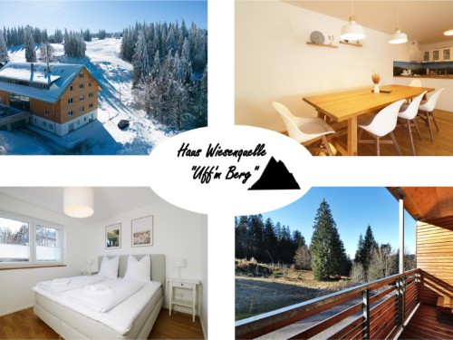 Ferielejlighed - 6 personer -  - An der Wiesenquelle - 79868 - Feldberg (Schwarzwald)