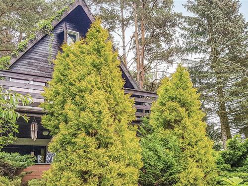 Ferienhaus - 5 Personen -  - Kaplityny - Kaplityny - 11-010 - Barczewo