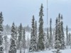 Bild 10 - Inde