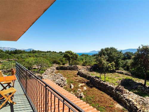 Ferielejlighed - 4 personer -  - Pijaca - 21469 - Sucuraj