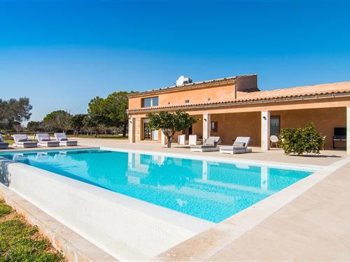 Holiday home - 12 persons -  - Diseminado Dto 2 Plg - Can Tano, Inca - 07300 - Inca