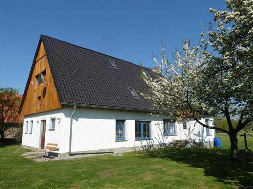 Ferienhaus - 6 Personen -  - Krien-Horst - 17391 - Krien