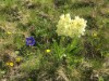 Bild 68 - Ude