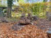 Bild 18