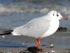 Bild 22