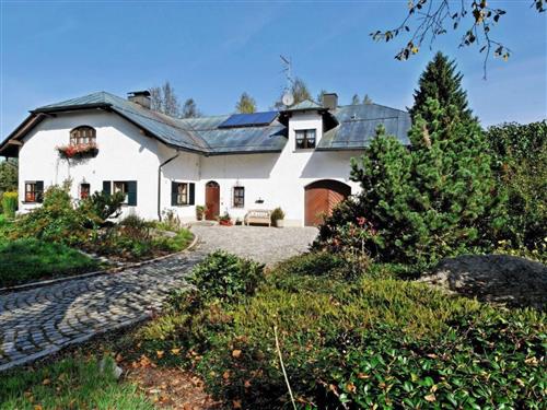 Ferienwohnung - 2 Personen -  - Haidmühle - 94145