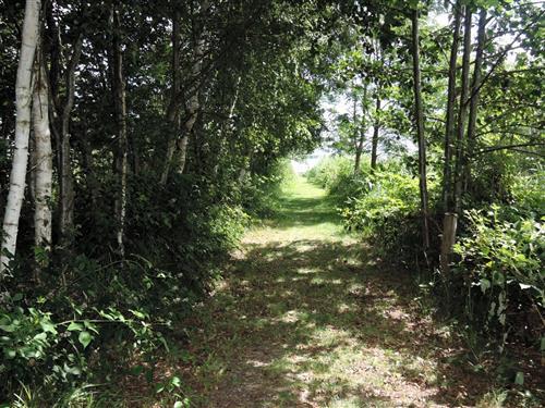 Ferielejlighed - 2 personer -  - 72514 - Kolczewo