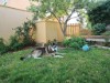 Image 33 - Outside