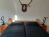 Bild 42