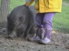 Bild 12