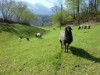 Bild 15