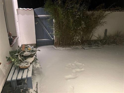 Sommerhus - 4 personer -  - Dorfstraße - 18356 - Fuhlendorf