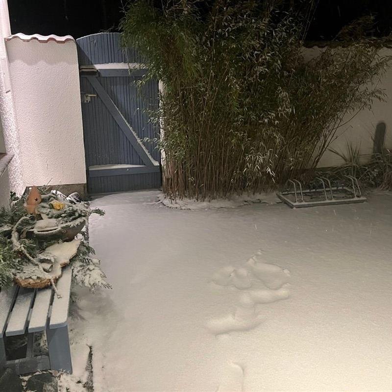 Sommerhus - 4 personer -  - Dorfstraße - 18356 - Fuhlendorf