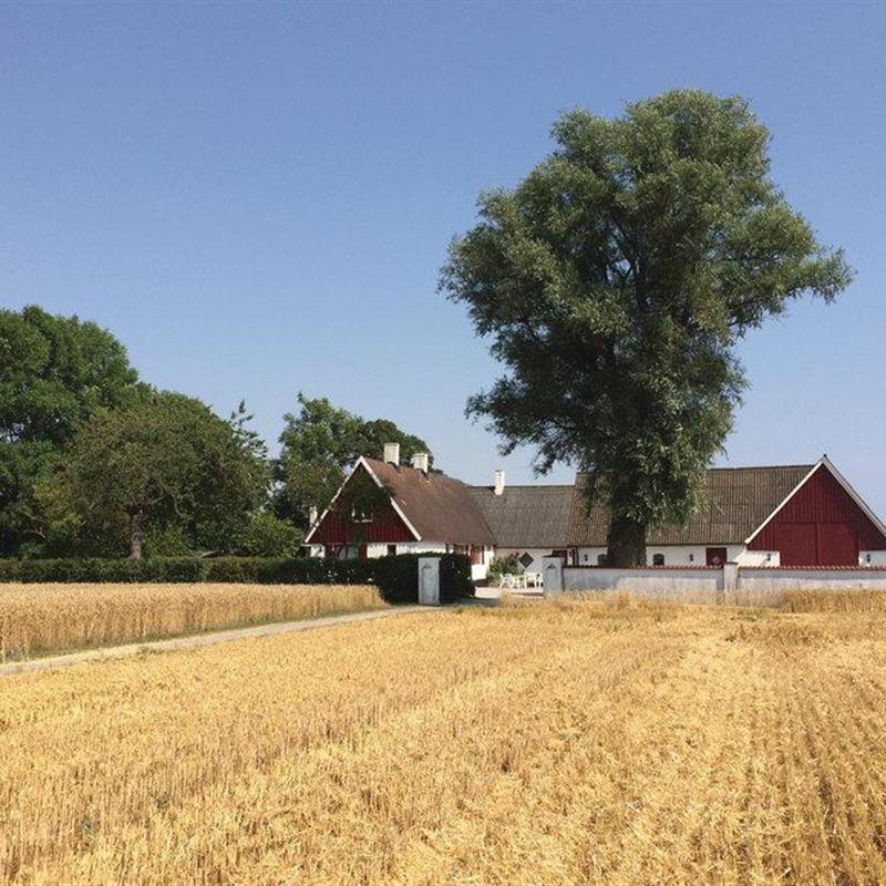 Ferielejlighed - 4 personer -  - Tullstorpsvägen - Beddingestrand - 231 98 - Klagstorp