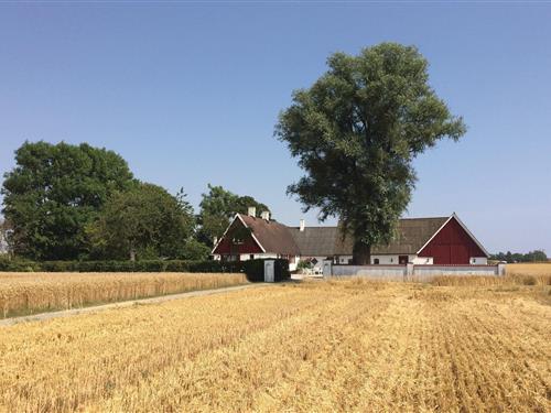 Holiday apartment - 4 persons -  - Tullstorpsvägen - Beddingestrand - 231 98 - Klagstorp