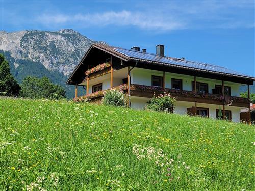 Ferieleilighet - 2 personer -  - Sieben-Palfen-Weg - 83435 - Bad Reichenhall